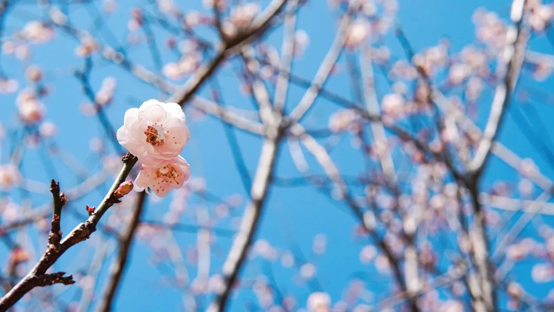 suncitygroup太阳成集团(中国)-官方网站