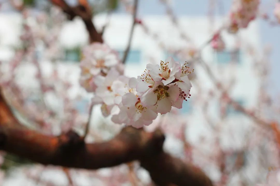 suncitygroup太阳成集团(中国)-官方网站