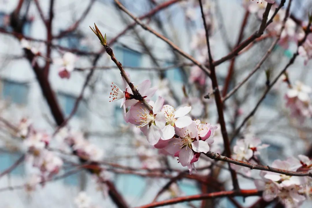 suncitygroup太阳成集团(中国)-官方网站