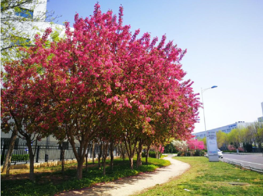 suncitygroup太阳成集团(中国)-官方网站