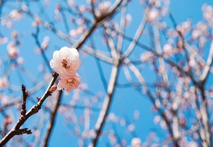 suncitygroup太阳成集团(中国)-官方网站